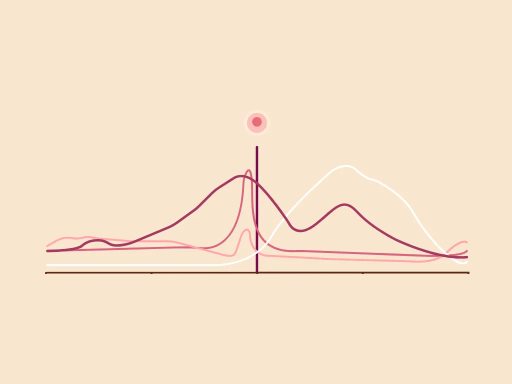 Reproductive cycle graph - Luteal phase (video)